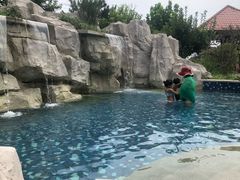 -秦皇岛阿尔卡迪亚滨海度假酒店