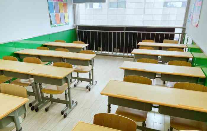 萝卜娃作文阅读(大行宫校区)-"老师教学方法很活跃,很有亲和力,孩子