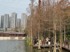 -重庆彩云湖湿地公园