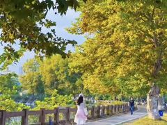 -青龙湖公园