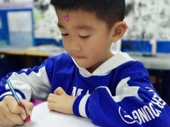 -阿妮亚少儿美术书法(望京店)