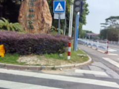 -三水森林公园