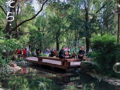 -成都市活水公园