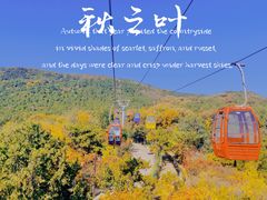 -八大处公园