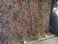 -北京益泉花园酒店