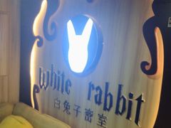 -白兔子密室(长寿路店)