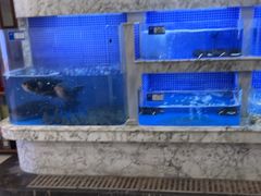 -香山湖渔家大院