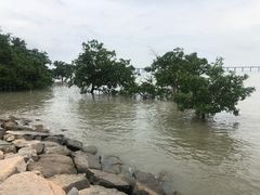 -宝安西湾红树林湿地公园