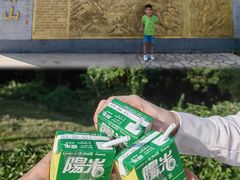 -黄埔油麻山森林公园
