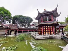 -碧江金楼