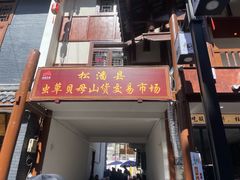 -松州古城
