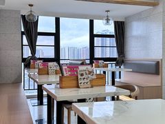 -喵园·猫主题咖啡厅·撸猫·猫咖(国贸店)