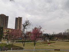 -府河摄影公园