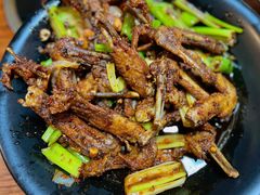 干锅鸭翅大份-掌上鲜(南顺城街店)