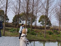 -阿林有机农庄