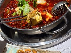 -蛙蛙鸡冷锅鱼(驷马桥店)