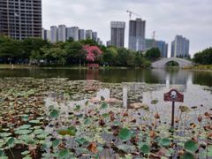 -映月湖公园
