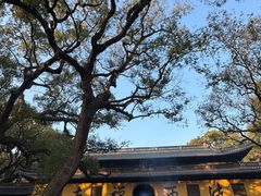 -普陀山风景名胜区-法雨禅寺