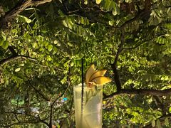 -LAMP BAR 水烟音乐酒吧