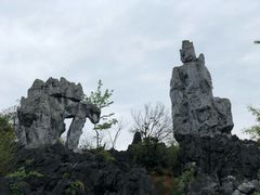 -千岛湖石林