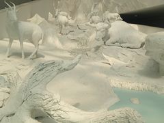 -中国湿地博物馆