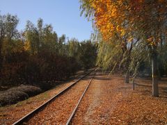 -永定河休闲森林公园
