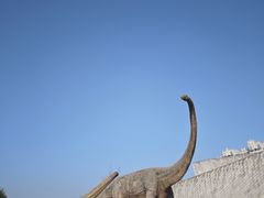 -安徽省地质博物馆