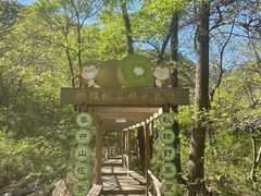-大岭沟猕猴桃谷风景区