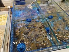 -木木鲜海鲜面(天一店)