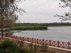 -丁香湖公园