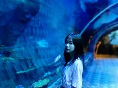 -华夏文旅西安度假区