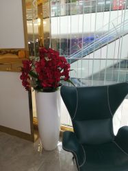 -CICI纤美·科技减肥美容