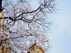 -北京凤凰岭