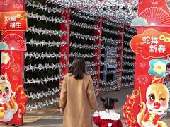 -武汉紫薇都市田园