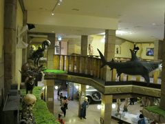 -信不信由你博物馆