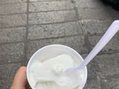 -洪馨椰子