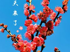 -大宁公园