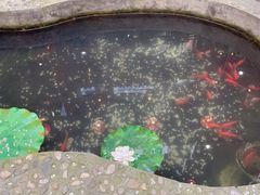 -映像威海·海鲜味道(市区店)