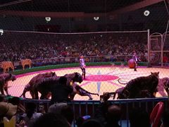 -西安秦岭野生动物园