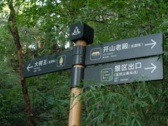 -天目山大树王景区
