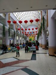 -上海交通大学医学院附属上海儿童医学中心(陆家嘴总院区)