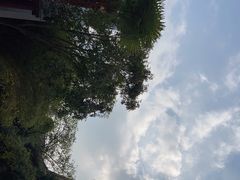 -龙华寺