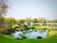 -扬州大运河文化旅游度假区·盆景园