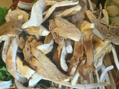 android_upload_pic-易门野生菌府·菌海森林(月牙潭公园店)