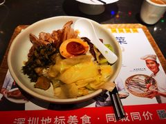 金奖卤鹅肉饭-陈鹏鹏潮汕菜(宝安机场T3航站楼店)