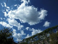 -阳台山自然风景区