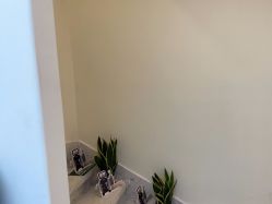 -海涛医疗美容·面部抗衰·注射美鼻