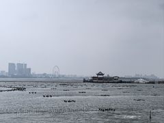 -金鸡湖景区