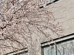 -北京大学百年讲堂