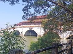 -大湾区中央湿地公园